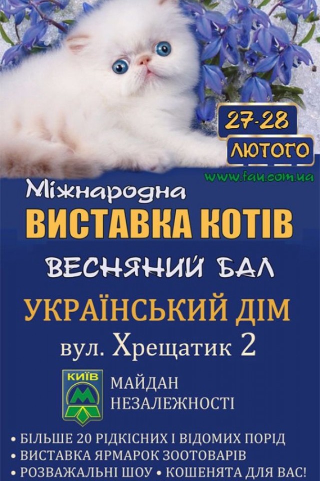 Весенний бал кошек