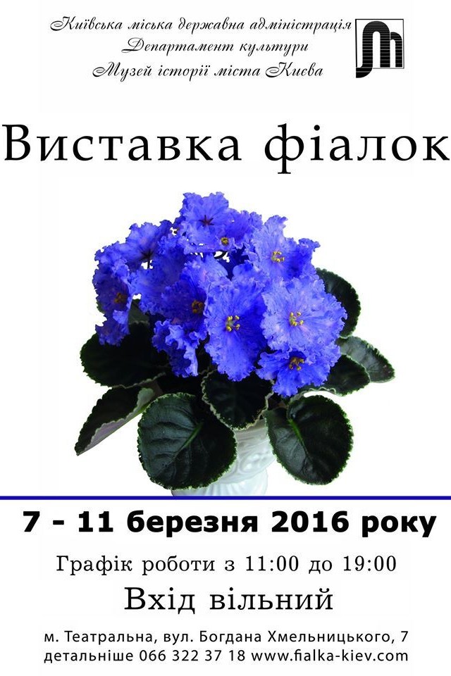Виставка фіалок