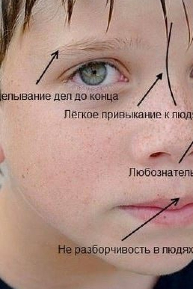 Мастер-класс ведущего эксперта United Physiognomics Center по физиогномике
