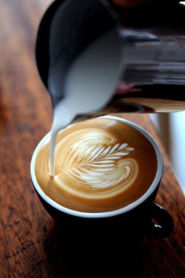 Coffee store Skyberry