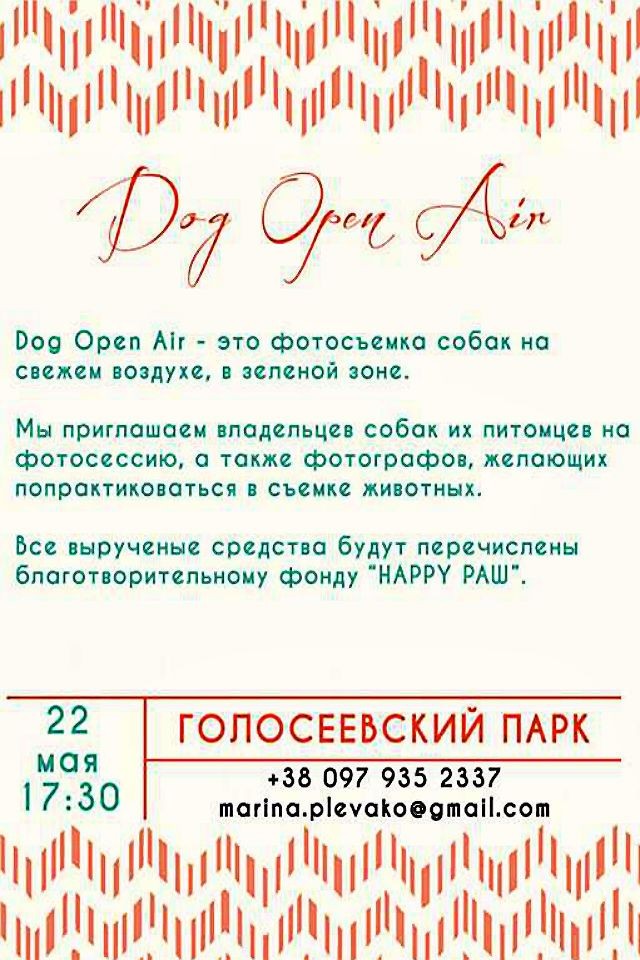 Dog Open Air - 2016