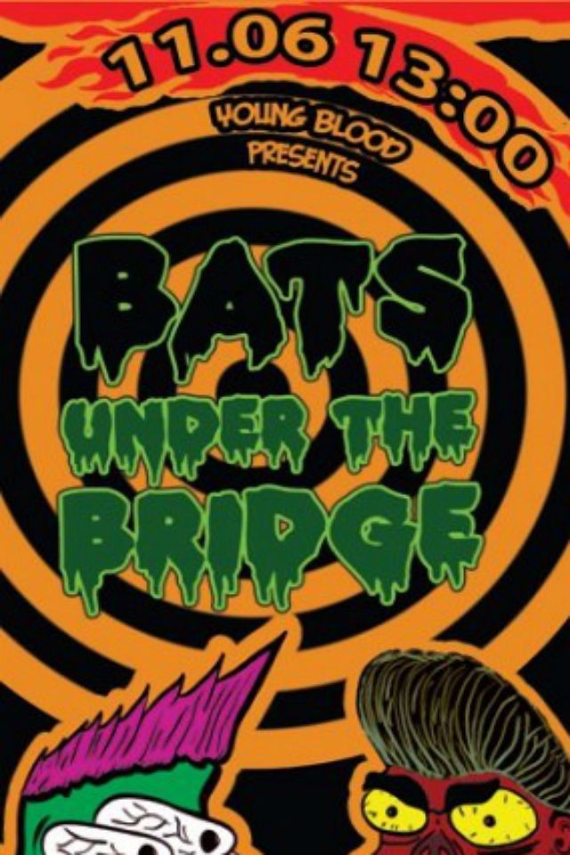 Bats Under The Bridge