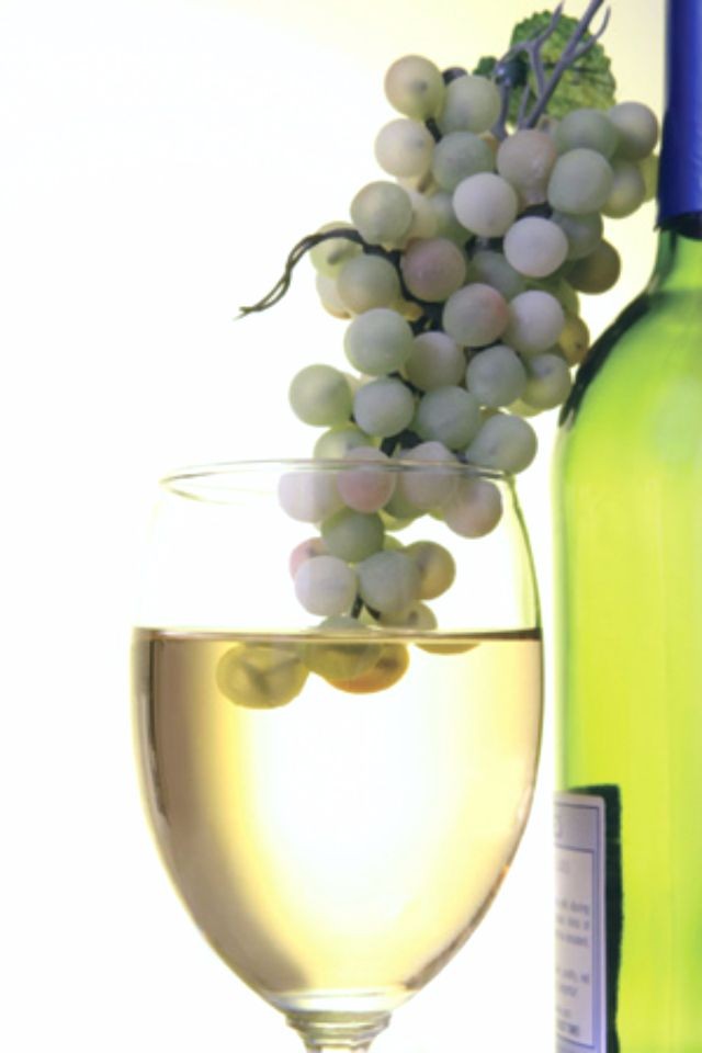 Сравнительная дегустация Sauvignon Blanc