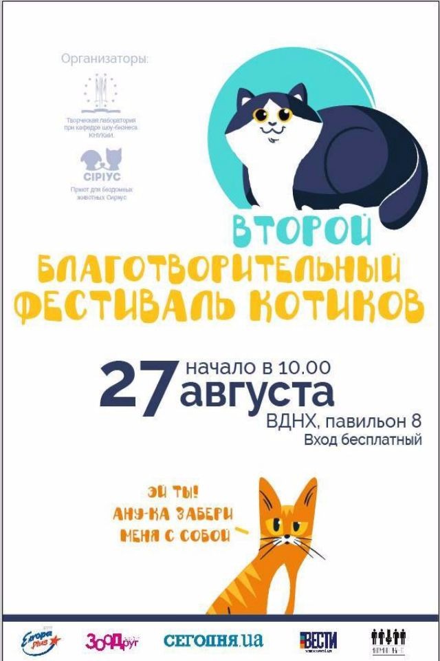  Второй Фестиваль Котиков
