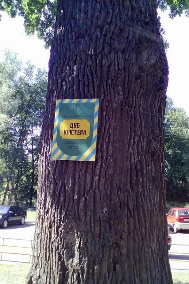 Змагання з плоггінгу на Гірці Крістера