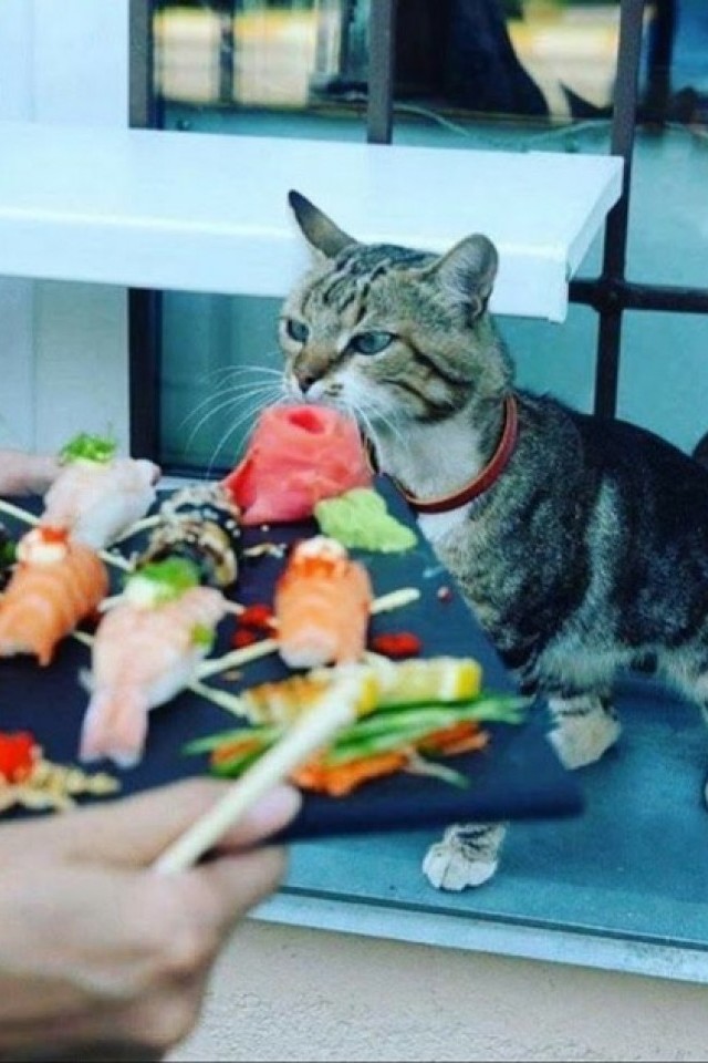 AsiaStyle Суши Боярка