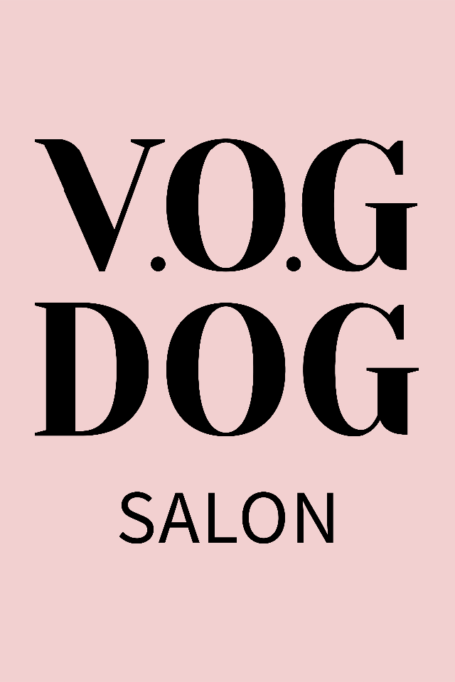 V.O.G DOG SALON Дружби Народів 27