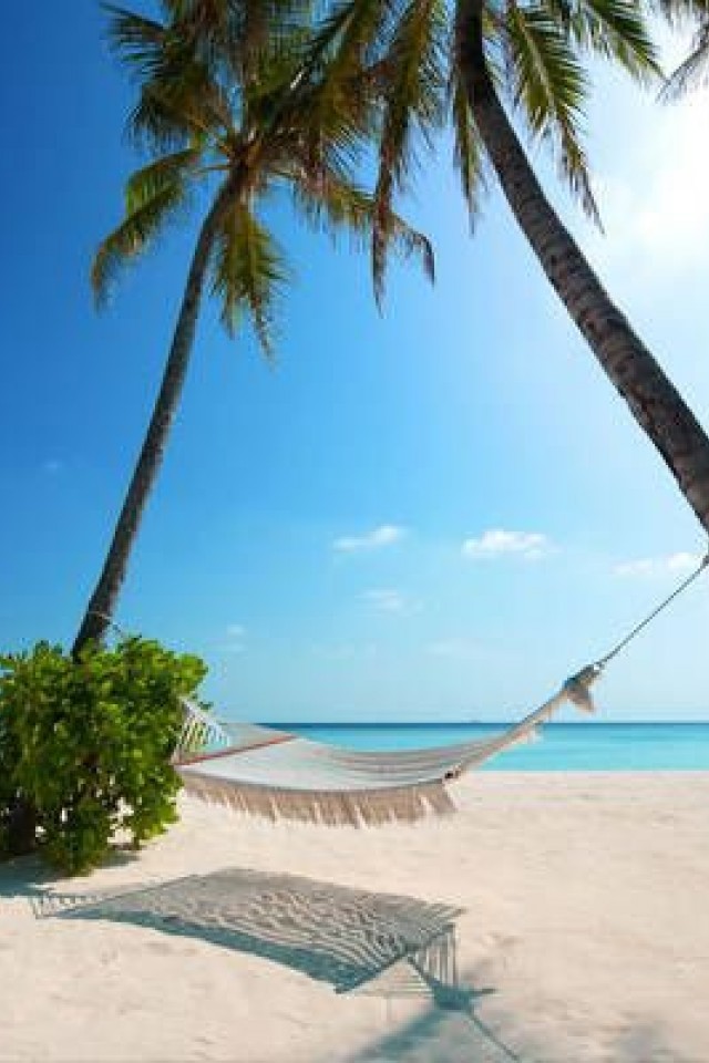 Maldive (Спа клуб)