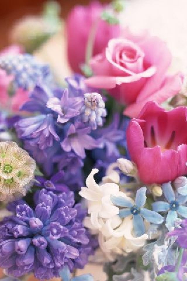 Магазин креативной флористики "Florissimo" 