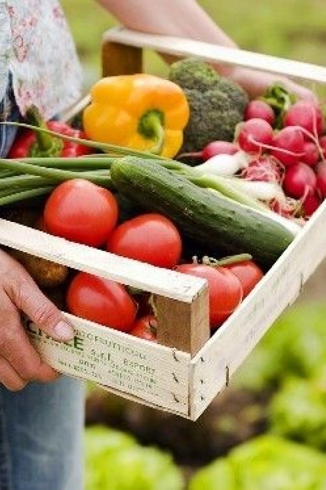 «Эко-Лавка» - чисто экологические продукты 