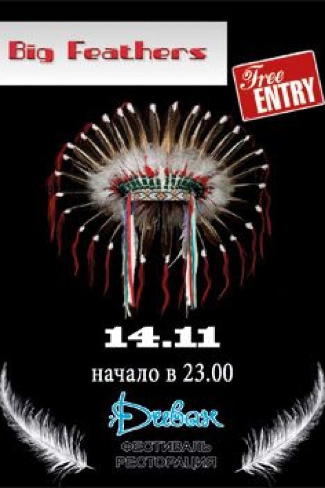 «Вig Feathers» cover band