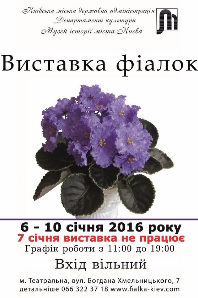 Різдвяна виставка фіалок!
