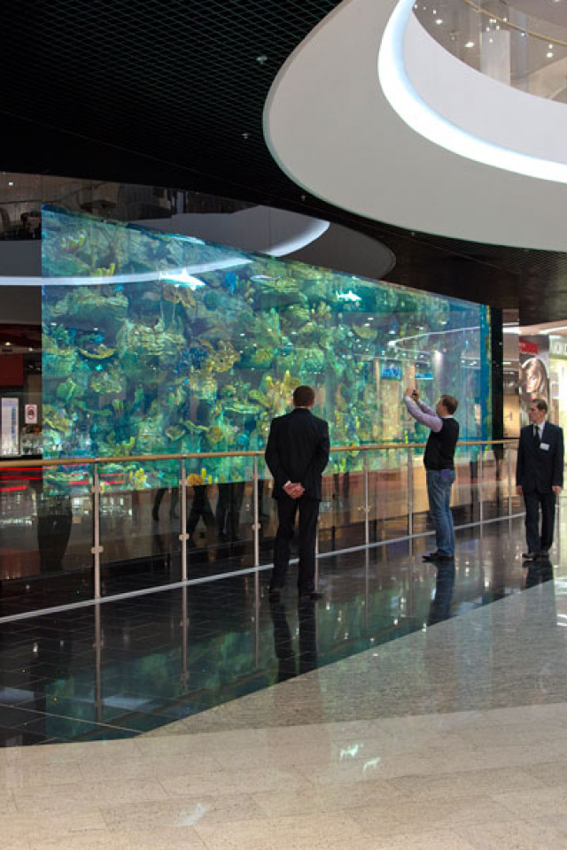Акваріум ТРЦ Ocean Plaza