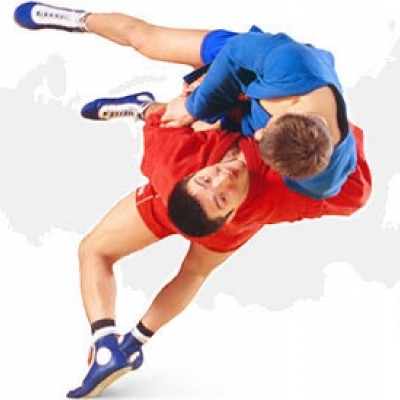 Боротьба САМБО ( sambo ) и ДЗЮДО ( judo )