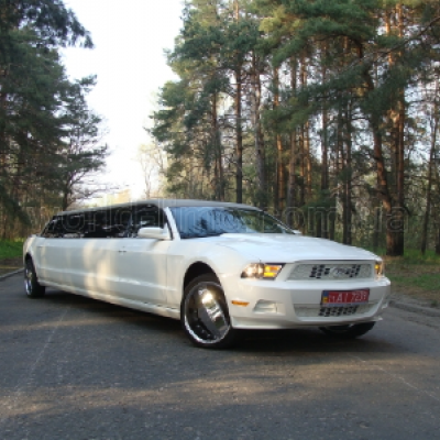 World Limo
