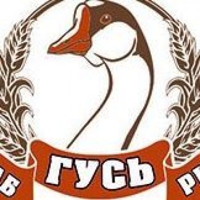 Goose pub