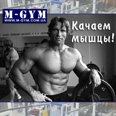 M - GYM (Фитнес клуб)